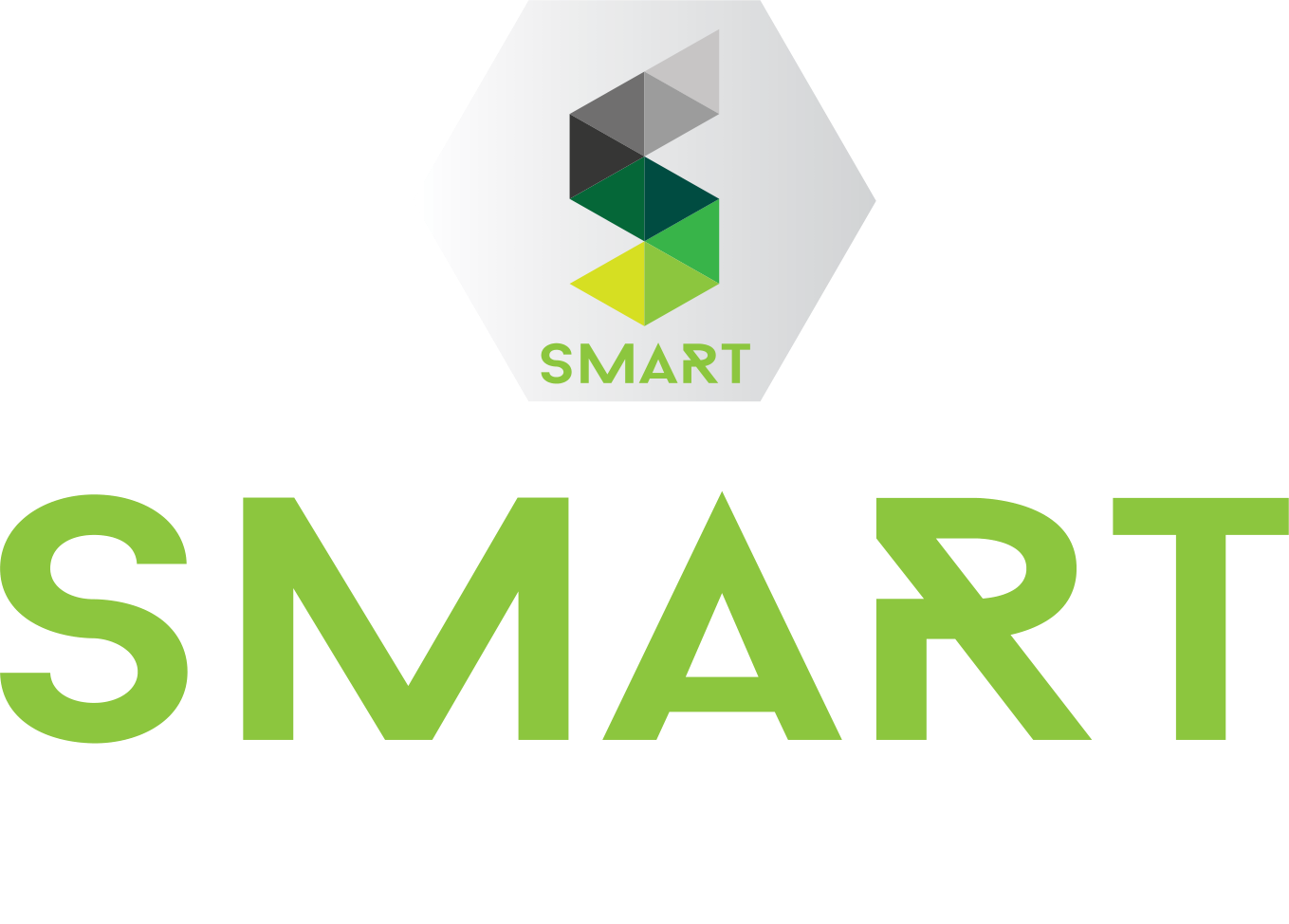 Smart Information Technology